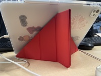 CLASSIC FLIP CASE