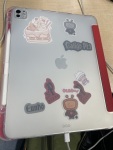 CLASSIC FLIP CASE