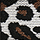 Big leopard white