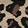 Big leopard gray